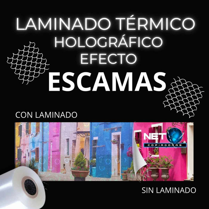 Rollo de Laminado Escama Holográfico Térmico 33cm x 50mts